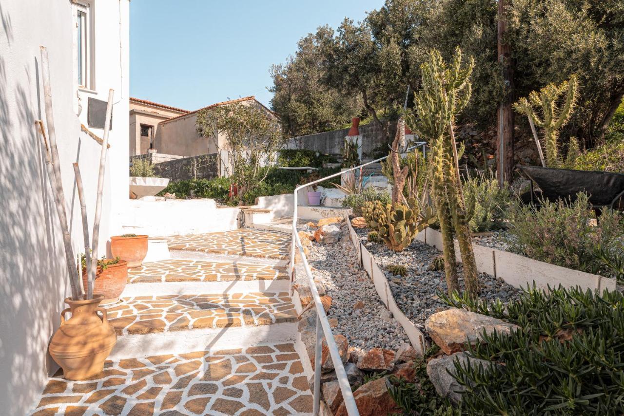 Apartment Seaview & Psili Ammos (Samos)